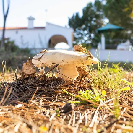 Casa Mela - Encantadora Con Piscina Wifi Y Maravillosas Vistas * Pedralba